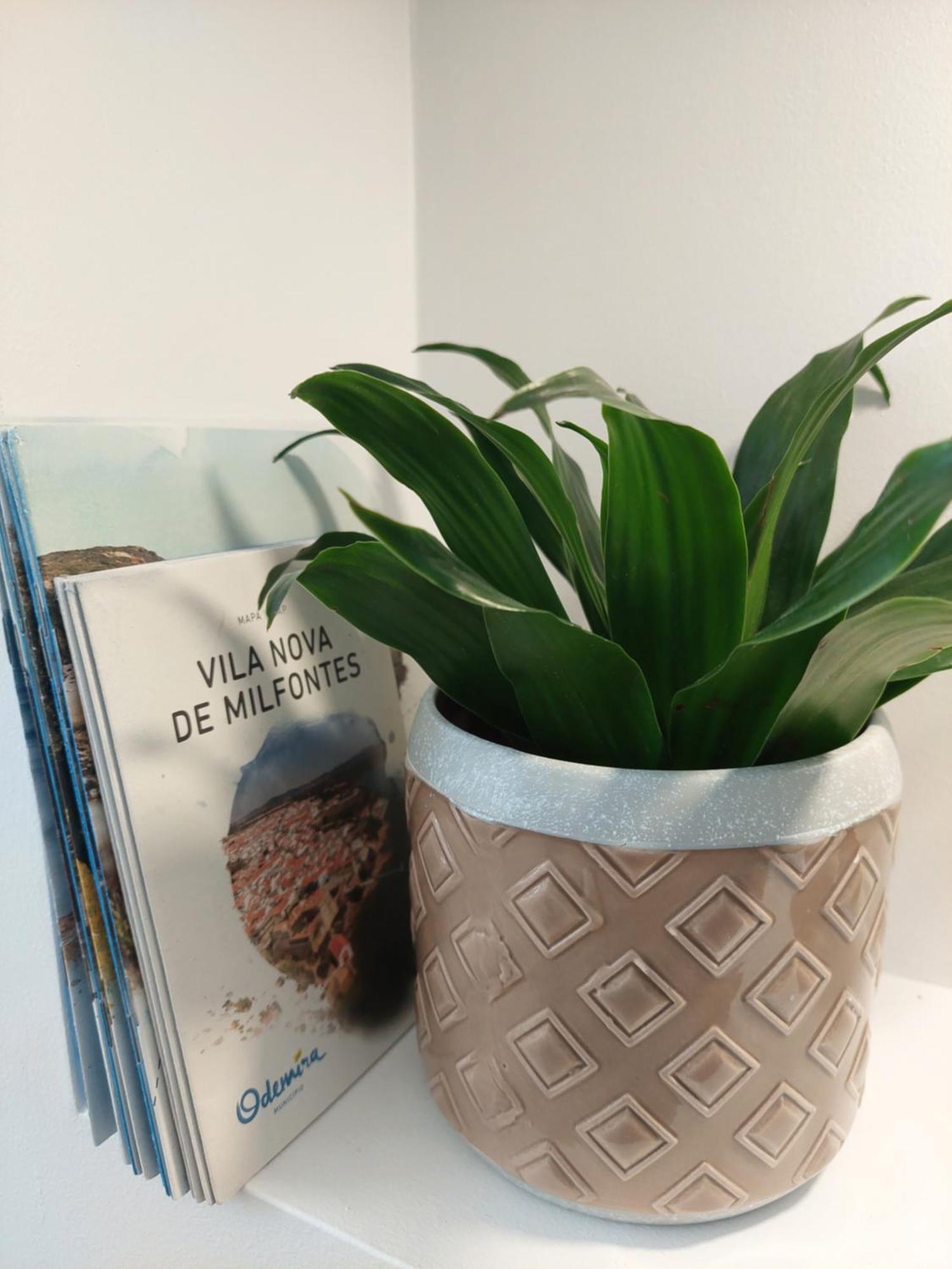 Estudio Lagoa Azul Vila Nova de Milfontes Zewnętrze zdjęcie
